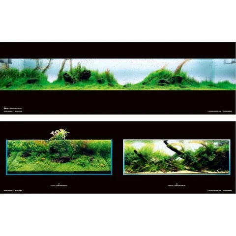 ADA Suikei Creators Photo Book - ADA
