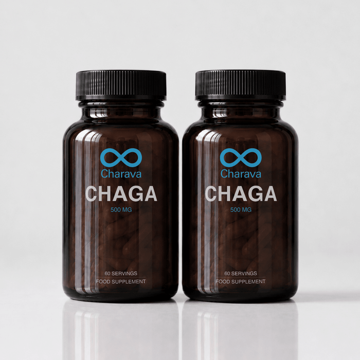 Chaga 500mg - Charava UK