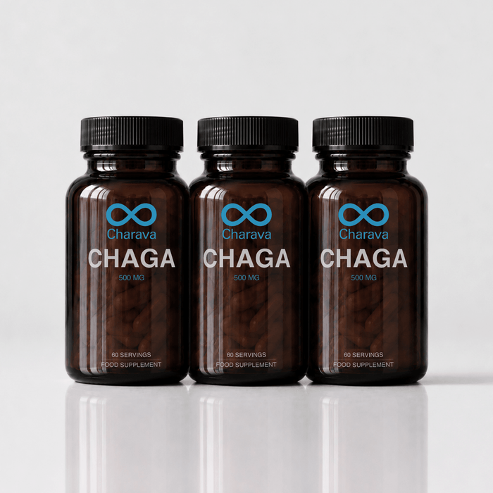 Chaga 500mg - Charava UK
