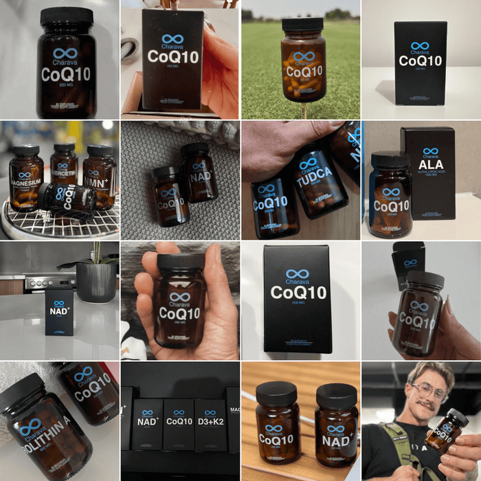 CoQ10 - Ubiquinone Coenzyme Q10 250mg - Charava UK