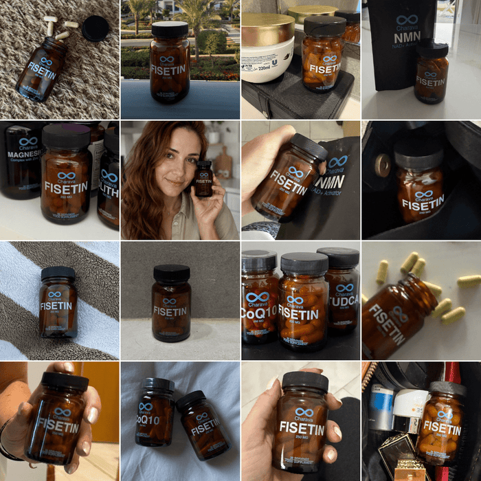 Fisetin 250mg - Charava UK