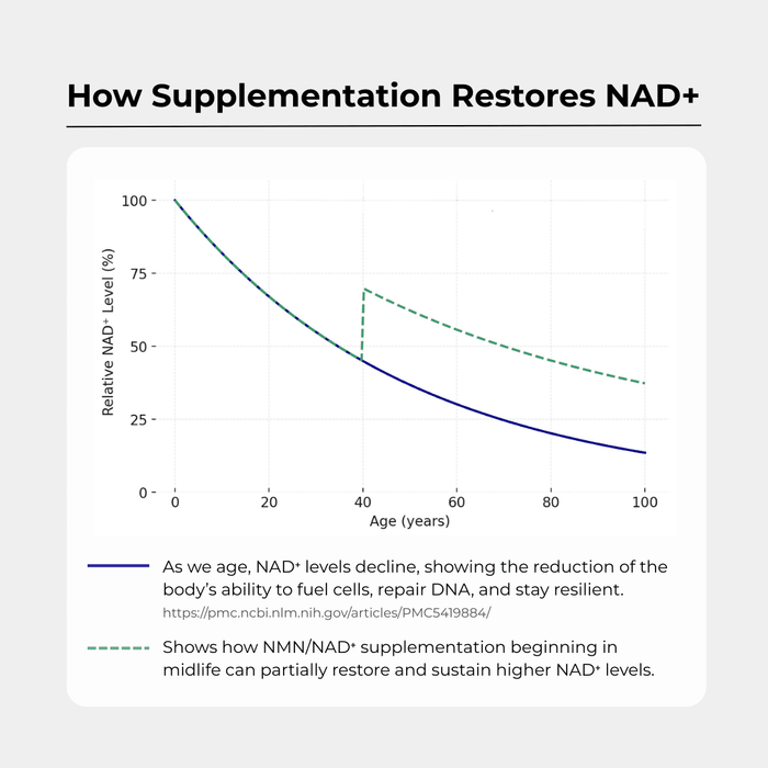 NAD+ 500mg - Charava UK