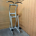 Nautilus Commercial Pull Up / Dip Station