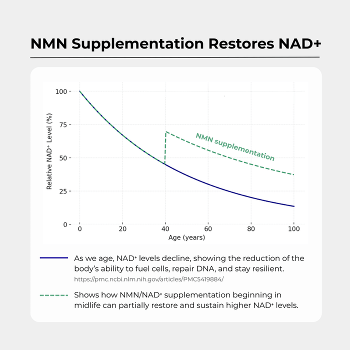 NMN+1200 (NMN, Resveratrol, Pterostilbene) - Charava UK