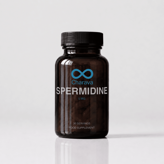 Spermidine - 5mg - Charava UK
